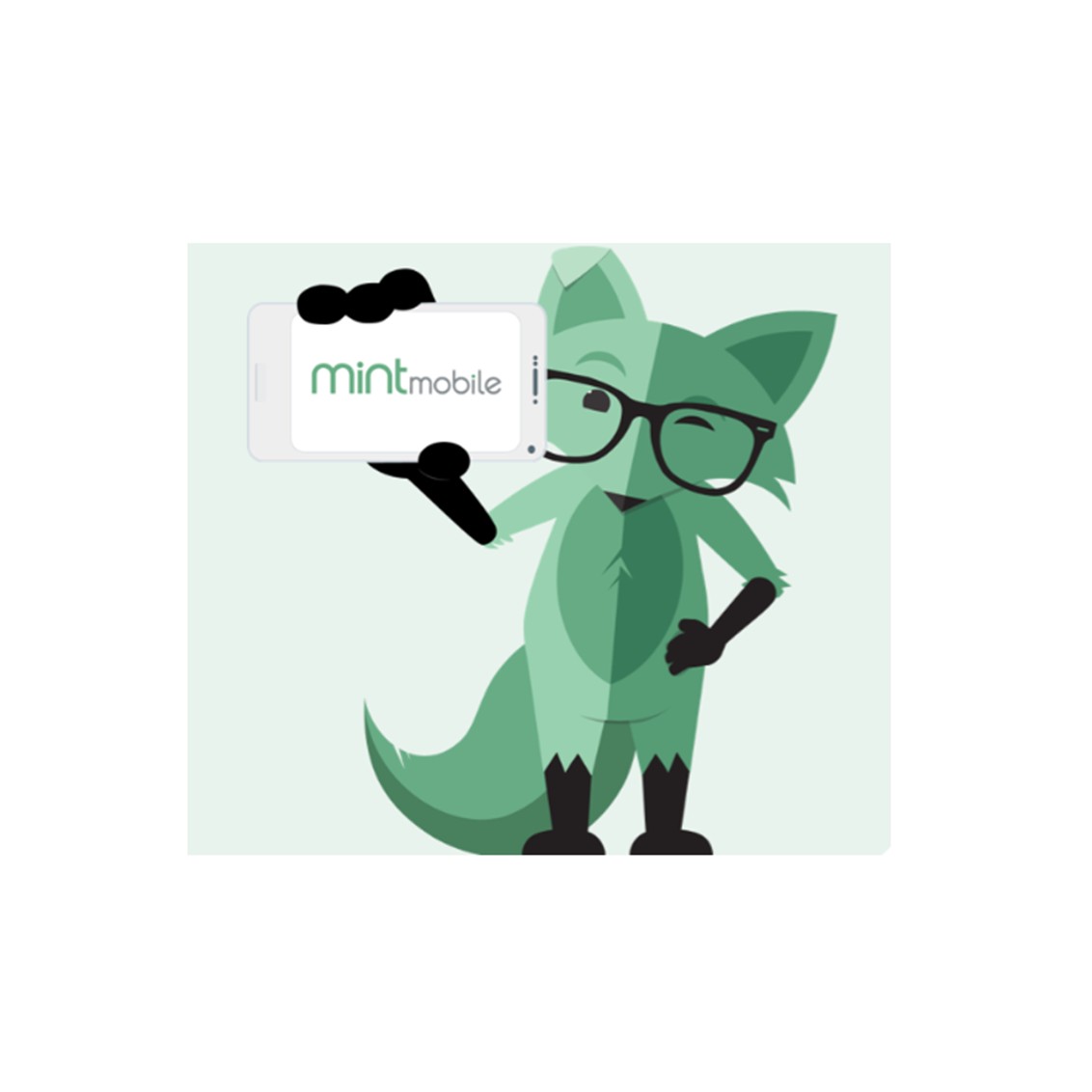 Save 30% on 12-Month Mint Mobile Plans