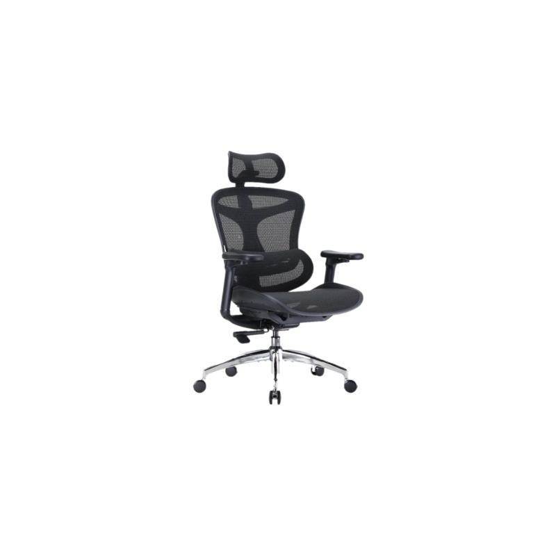 SIHOO Doro C300 ergonomic office chair