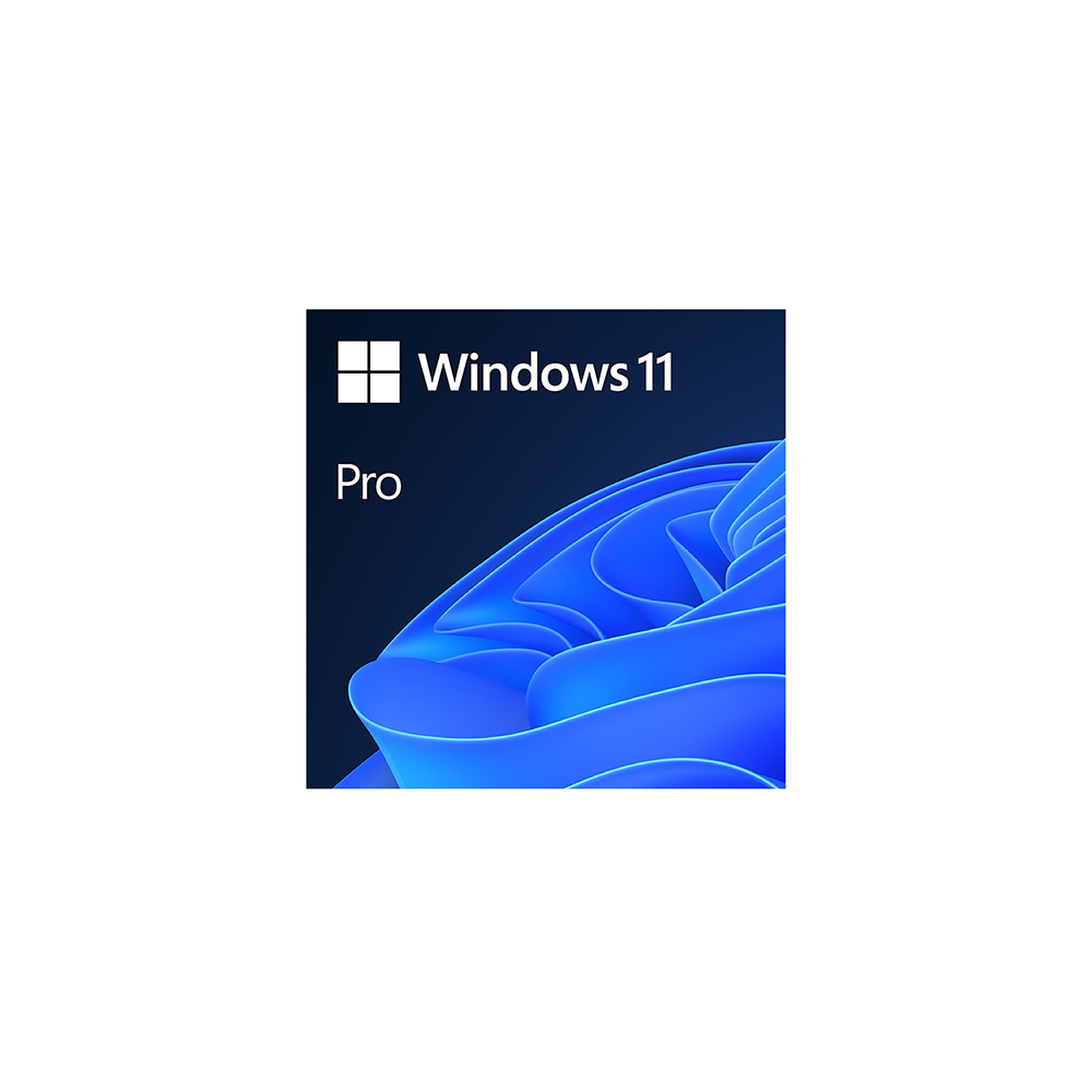 Windows 11 Pro