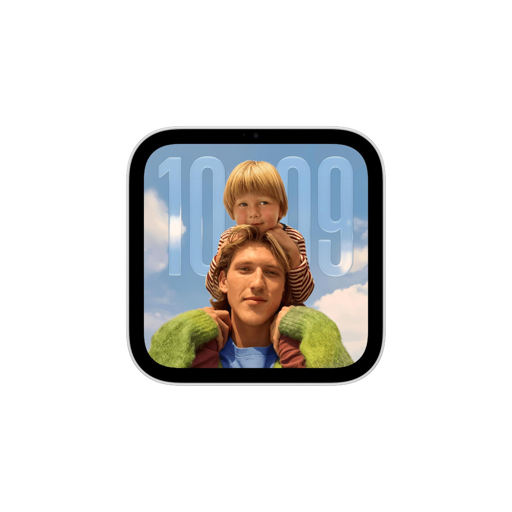 Apple HomeView